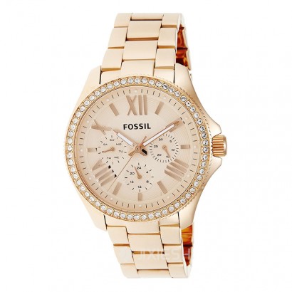 FOSSIL (gu)FOSSILŮʿʯӢAM4483 Ȿԭ