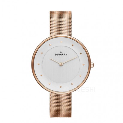 SKAGEN DENMARK ԊʯӢŮʿֱSKW2142 Ȿԭ