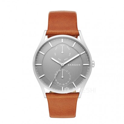 SKAGEN DENMARK ԊʯӢʿֱSKW6264 Ȿԭ