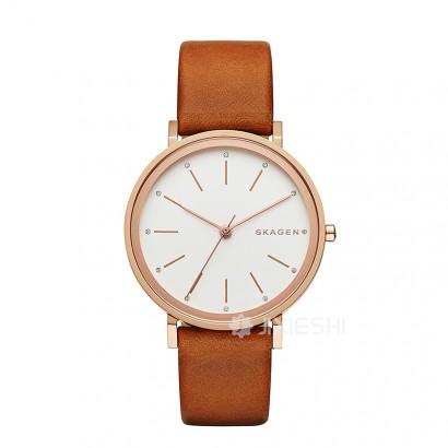 SKAGEN DENMARK ԊʯӢŮʿֱSKW2488 Ȿԭ