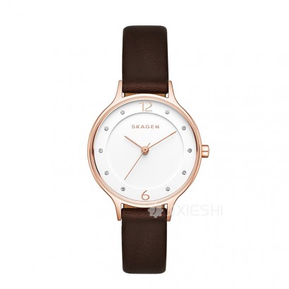 SKAGEN DENMARK Ԋ(sh)ʯӢŮʿֱSKW2472 Ȿԭ