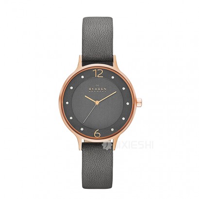 SKAGEN DENMARK ԊʯӢŮʿֱSKW2267 ...