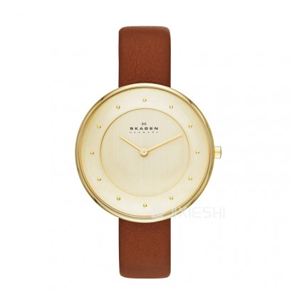 SKAGEN DENMARK ԊʯӢŮʿֱSKW2138 ...