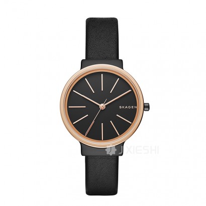 SKAGEN DENMARK Ԋ(sh)ʯӢŮʿֱSKW2480 ...