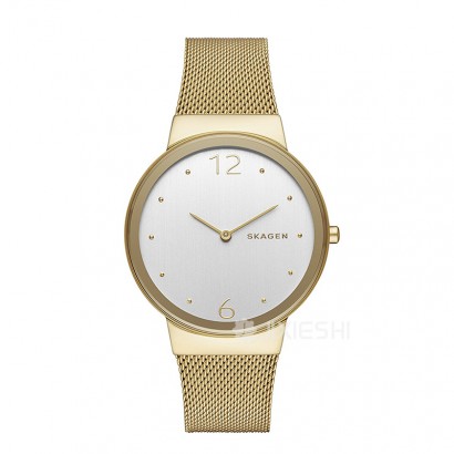 SKAGEN DENMARK ԊʯӢŮʿֱSKW2519 Ȿԭ