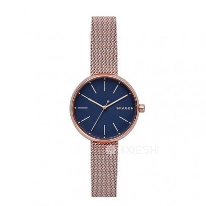 SKAGEN DENMARK ԊʯӢŮʿֱSKW2593 Ȿԭ