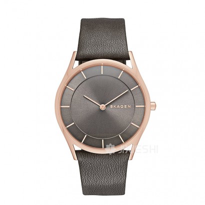 SKAGEN DENMARK ԊʯӢŮʿֱSKW2346 Ȿԭ