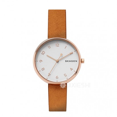 SKAGEN DENMARK ԊʯӢŮʿֱSKW2624 Ȿԭ