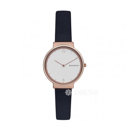 SKAGEN DENMARK ԊʯӢŮʿֱSKW2608 Ȿԭ