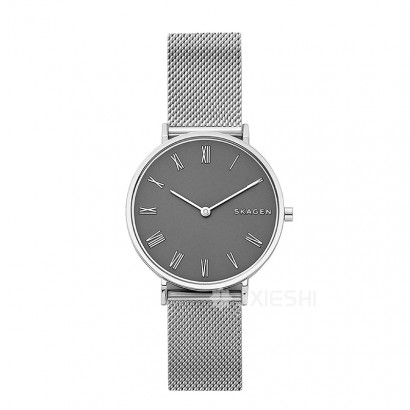 SKAGEN DENMARK ԊʯӢŮʿֱSKW2677 Ȿԭ