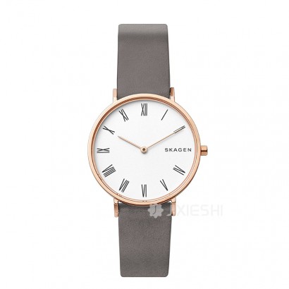 SKAGEN DENMARK Ԋ(sh)ʯӢŮʿֱSKW2674 Ȿԭ