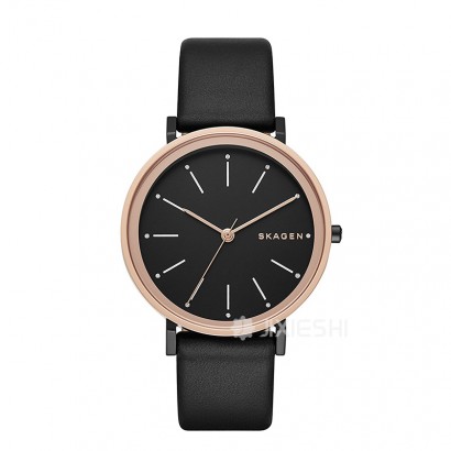 SKAGEN DENMARK ԊʯӢŮʿֱSKW2490 Ȿԭ