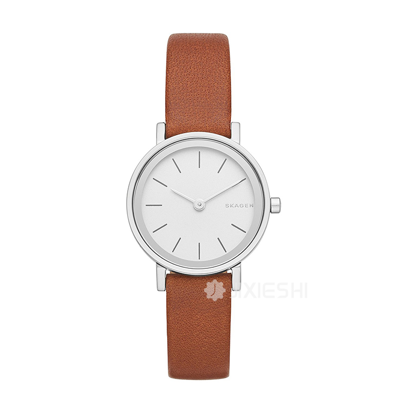 SKAGEN DENMARK ԊʯӢŮʿֱSKW2440 ...