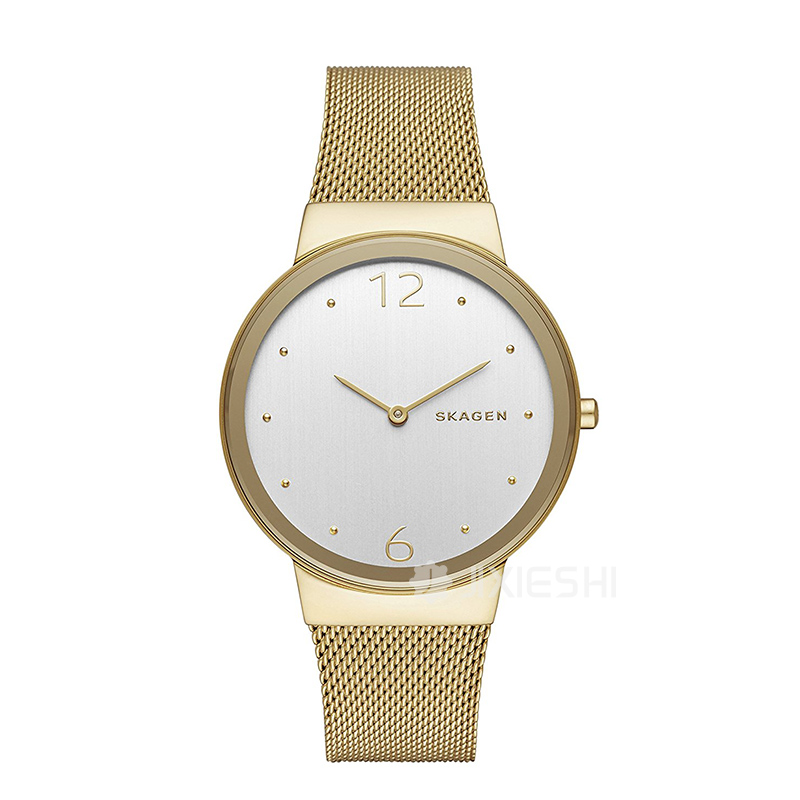 SKAGEN DENMARK ԊʯӢŮʿֱSKW2519 ...