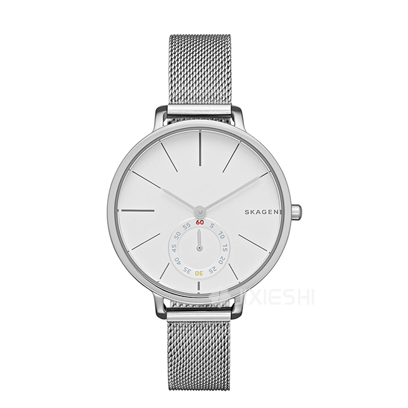 SKAGEN DENMARK ԊʯӢŮʿֱSKW2358 ...