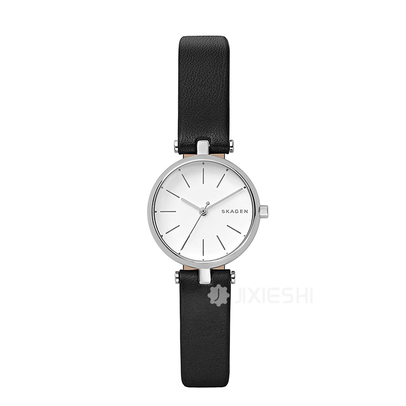 SKAGEN DENMARK ԊʯӢŮʿֱSKW2639 ...