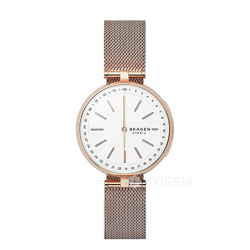 SKAGEN DENMARK ԊʯӢŮʿֱSKT1404 ...