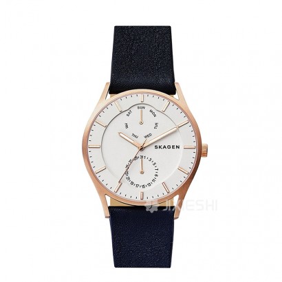 SKAGEN DENMARK Ԋ(sh)ʯӢʿֱSKW6372 Ȿԭ