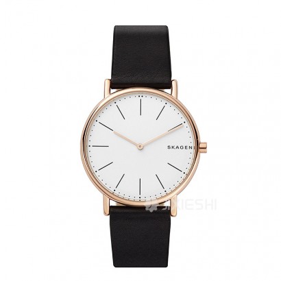 SKAGEN DENMARK ԊʯӢʿֱSKW6430 ...