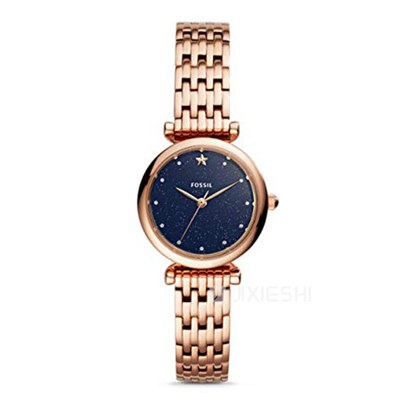 FOSSIL (gu)FOSSILŮʿʯӢES4522 Ȿԭ