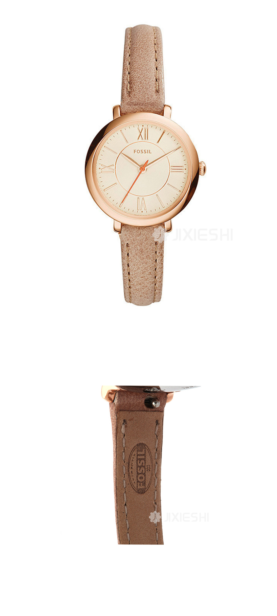 FOSSIL FOSSILŮʿֱES3802 Ȿԭ