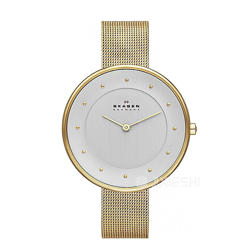 SKAGEN DENMARK Ԋ(sh)ŮʿSKW2140/1 Ȿԭ