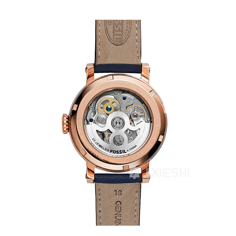 FOSSIL (gu)FOSSILŮʿֱME3086 Ȿԭ