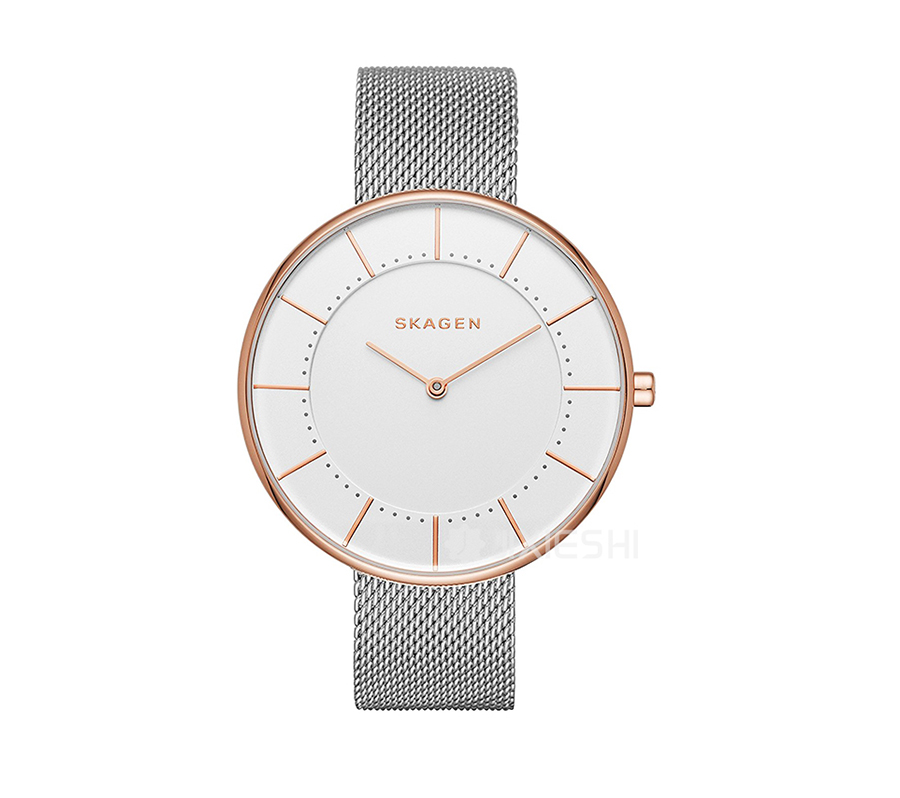 SKAGEN DENMARK Ԋ(sh)ʯӢŮʿֱSKW2583 Ȿԭ