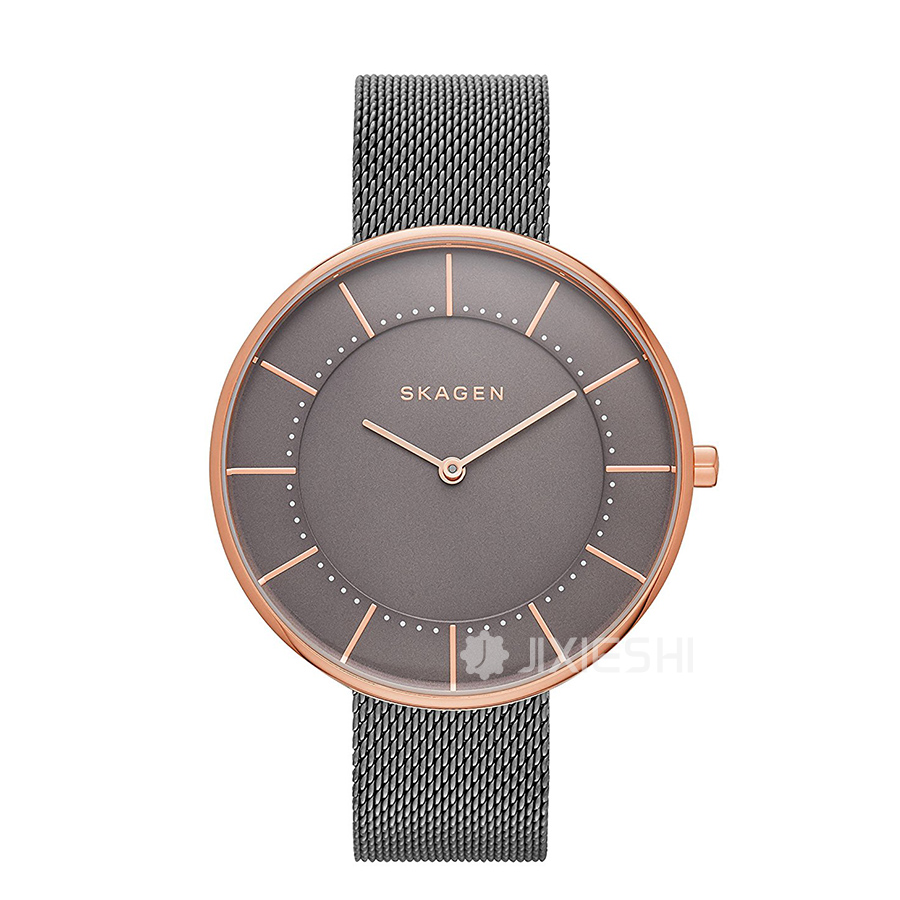 SKAGEN DENMARK ԊʯӢŮʿֱSKW2584 Ȿԭ