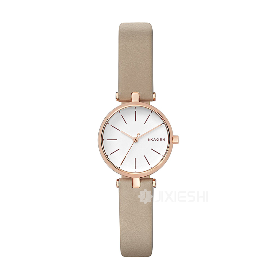 SKAGEN DENMARK Ԋ(sh)ʯӢŮʿֱSKW2643 Ȿԭ