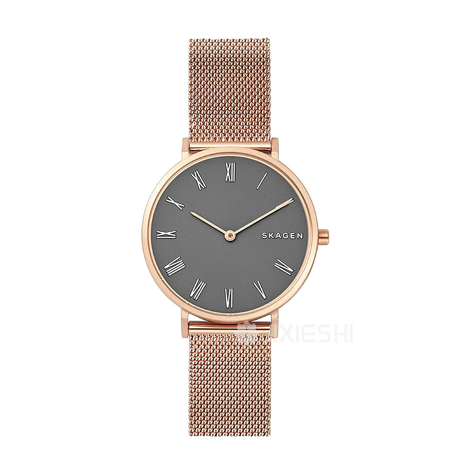 SKAGEN DENMARK ԊʯӢŮʿֱSKW2675 Ȿԭ