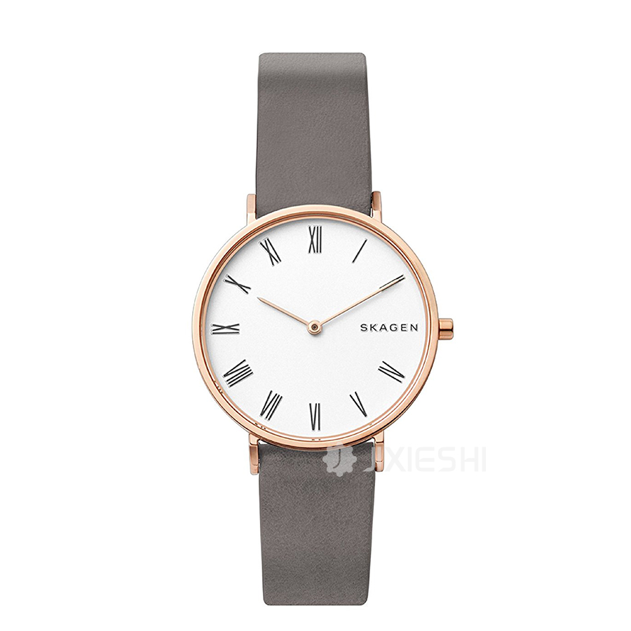 SKAGEN DENMARK Ԋ(sh)ʯӢŮʿֱSKW2674 Ȿԭ