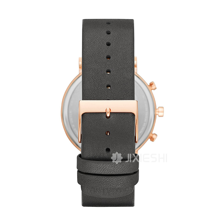 SKAGEN DENMARK ԊʯӢŮʿֱSKT1207 Ȿԭ