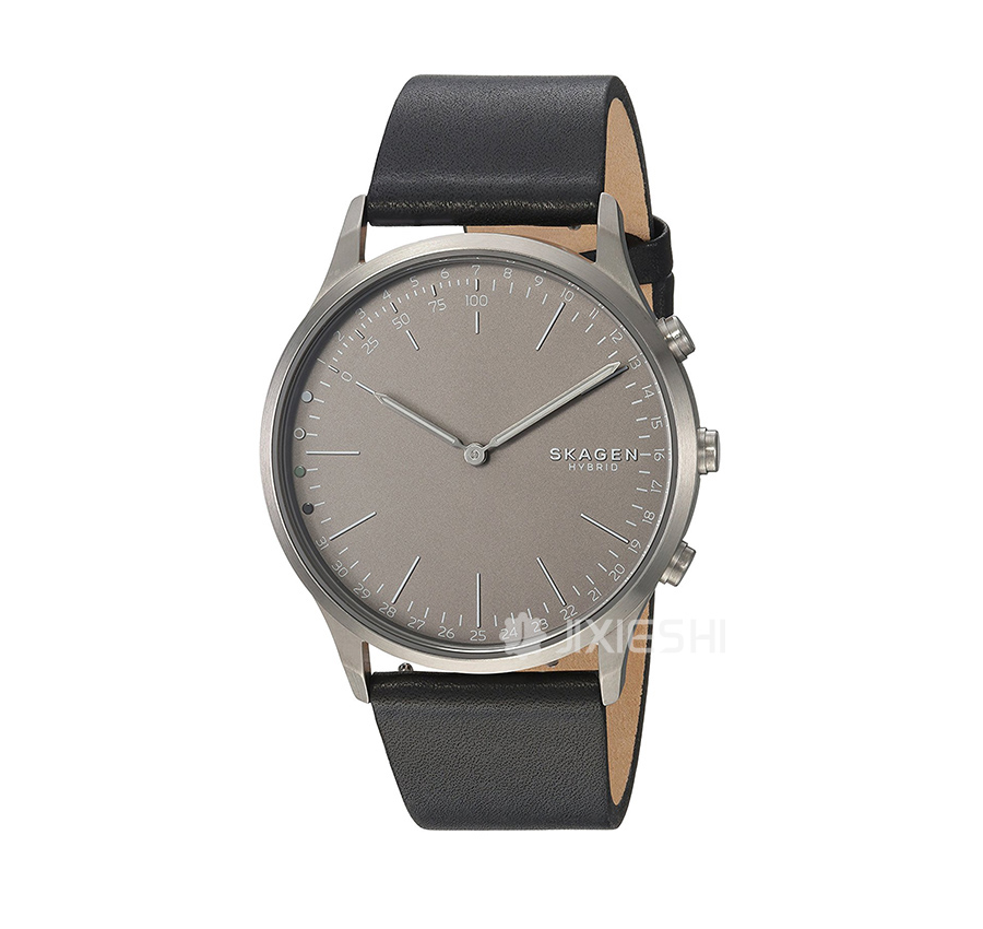 SKAGEN DENMARK ԊʯӢʿֱSKT1203 Ȿԭ