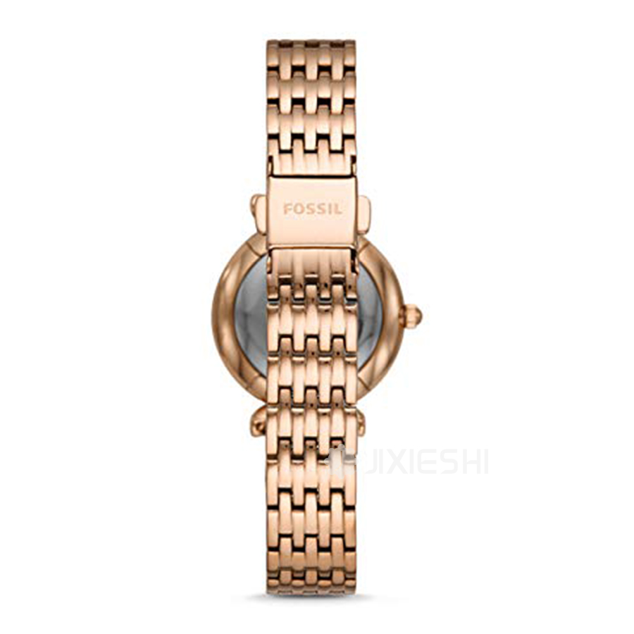 FOSSIL (gu)FOSSILŮʿʯӢES4522 Ȿԭ